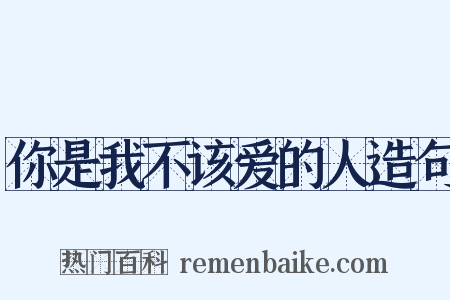 你是我不该爱的人造句是什么意思的图片
